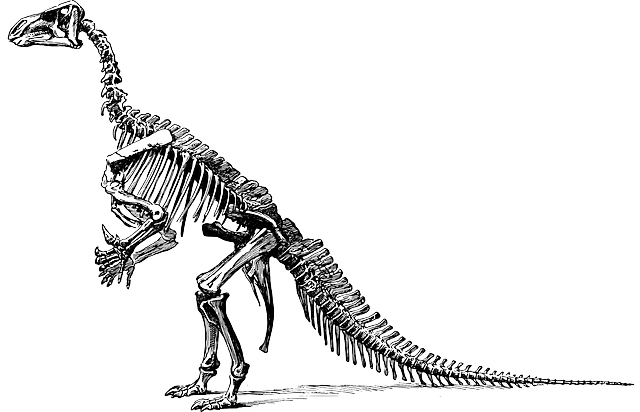 kostra tyranosaura